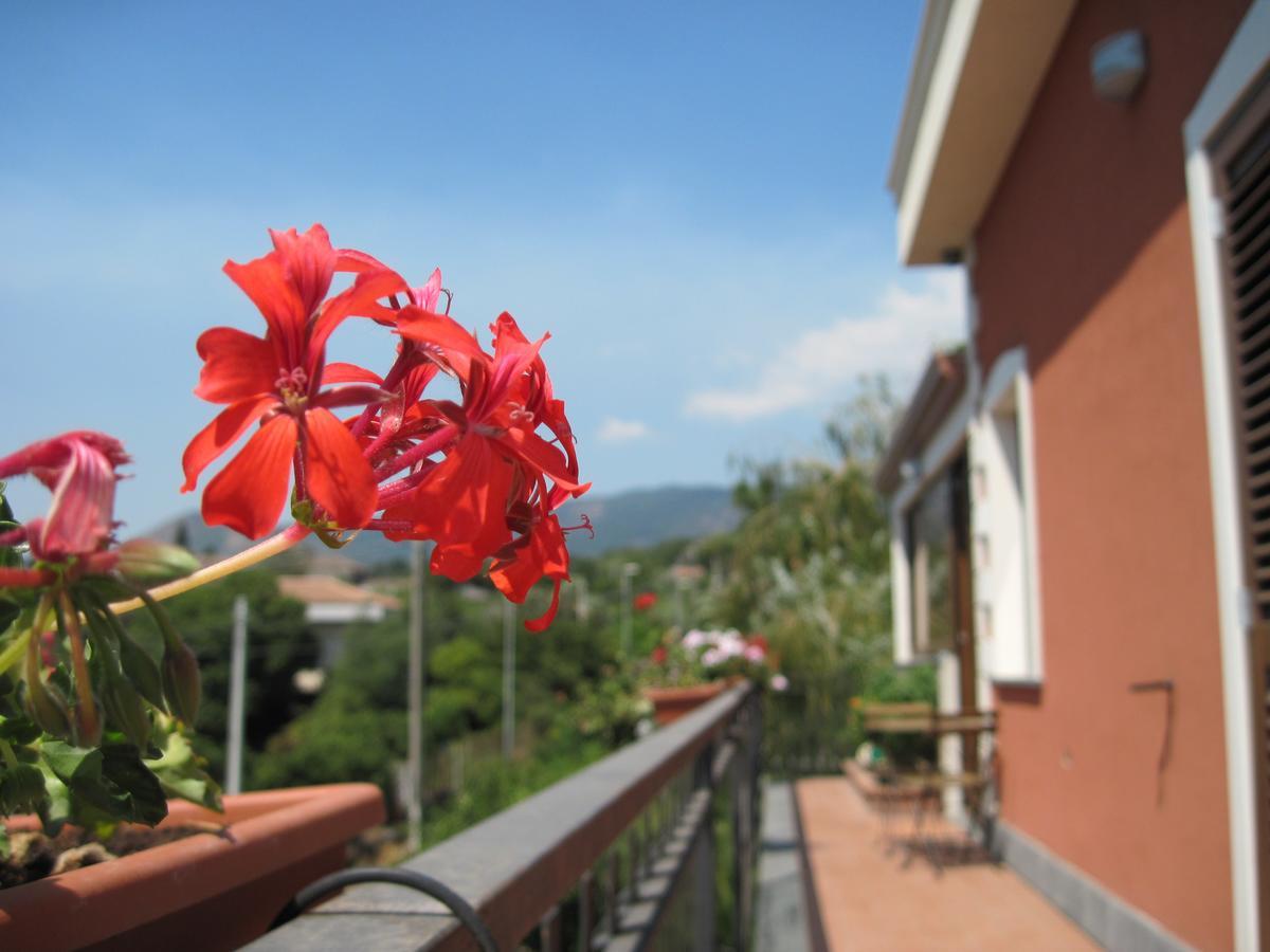 Bed and Breakfast Anthea Dell' Etna Santa Venerina Exterior foto